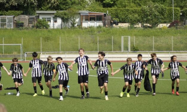 Vorzeitiger Aufstieg der 2012er Zebrafohlen
