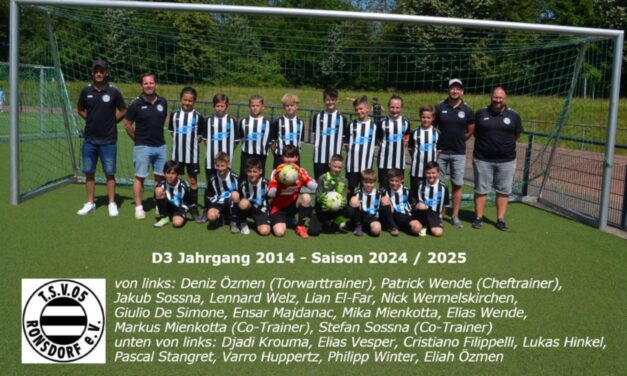 D3 wird Vizemeister
