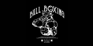 Bull Boxing Wuppertal